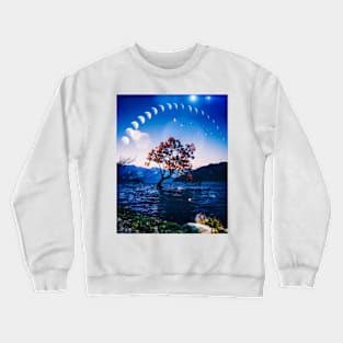 Walk and See Crewneck Sweatshirt